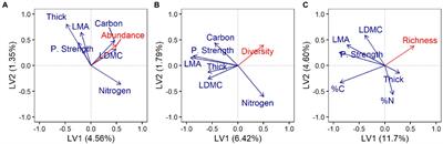 Traits along the leaf economics spectrum are associated with communities of foliar endophytic symbionts